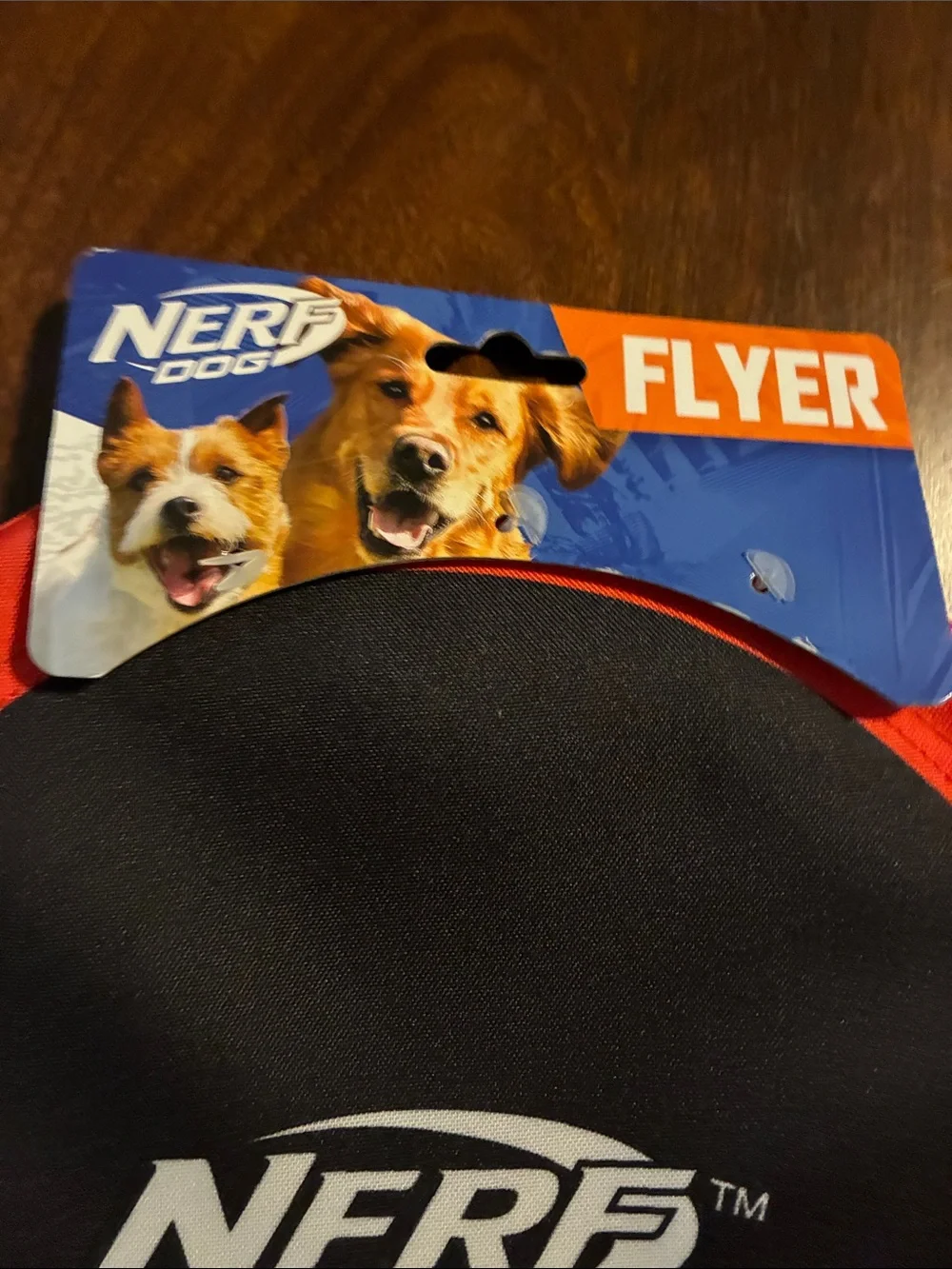 Nerf Dog Black and Red Flyer